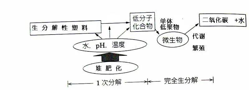 可生物降解環保塑料可以回收再利用嗎？(圖3)